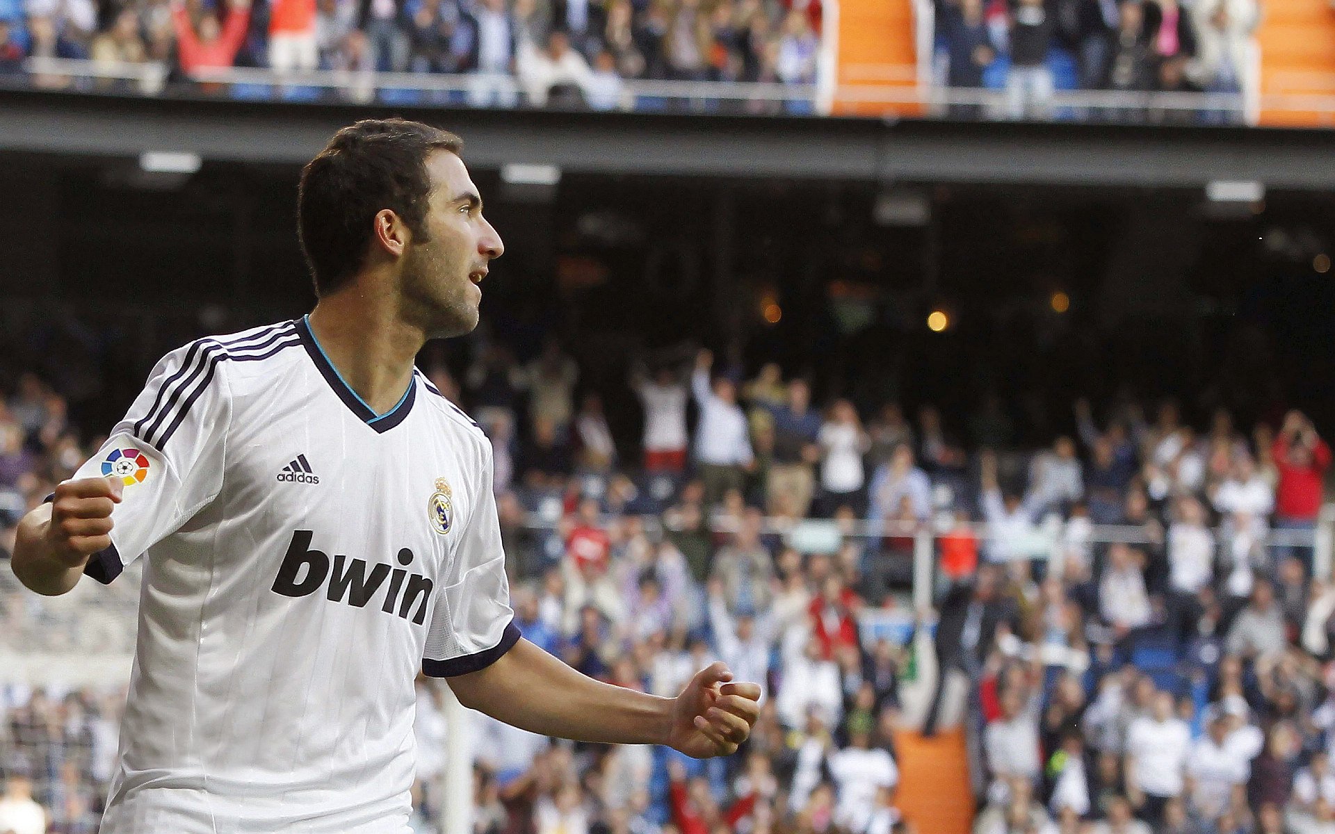 kaiyun官方网站-体育新闻中心球迷声音集锦，球迷轶事