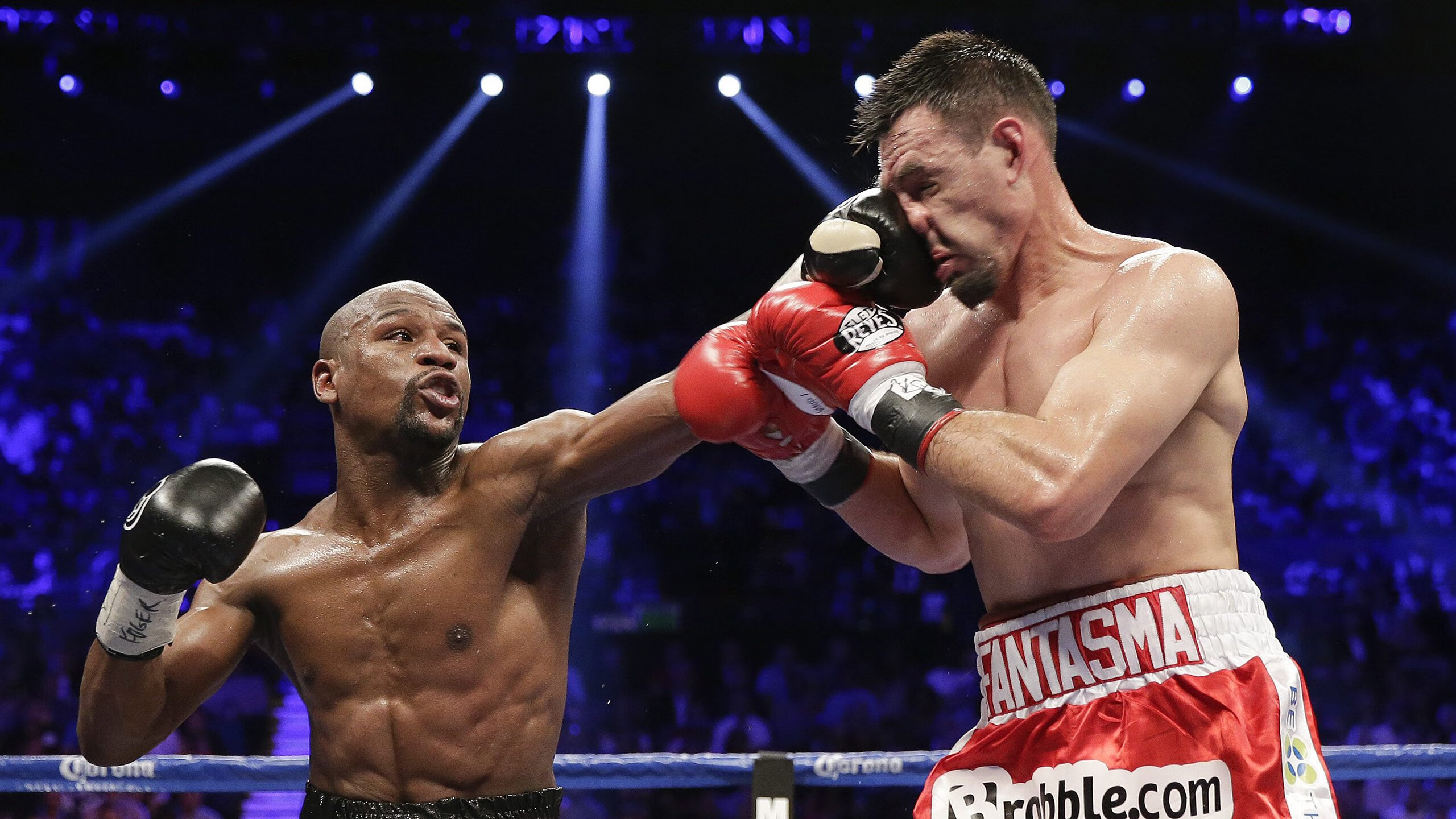 “德甲激烈竞争，最后冲刺谁能占上风？”，德甲收官战