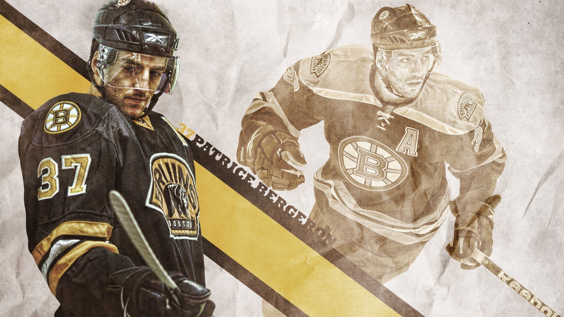 克罗地亚马术协会建立马匹基因数据库，促进马匹选育与训练。，克罗地亚 马可波罗